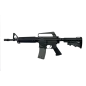 Black Swan Dynamics - Colt 733 ERG