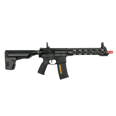 Black Swan Dynamics - Ronin T10