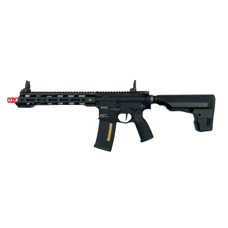 Black Swan Dynamics - Ronin T10