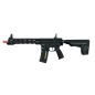 Black Swan Dynamics - Ronin T10