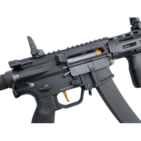Black Swan Dynamics - Shōto PDW